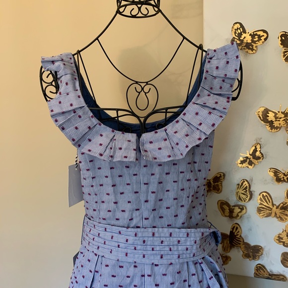 1901 Stripe Pleat Collar Fit & Flare Dress size 4 - Picture 14 of 16